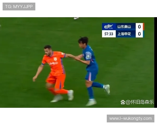 为什么裁判对同一动作的判罚尺度差异这么大？